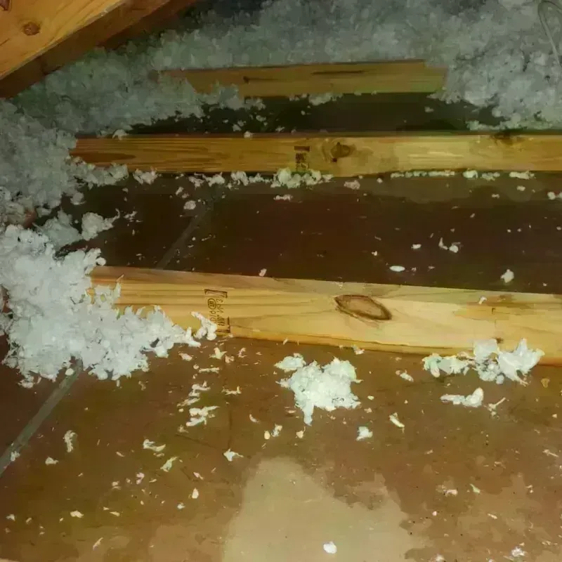 Attic Water Damage in Gun Barrel City, TX